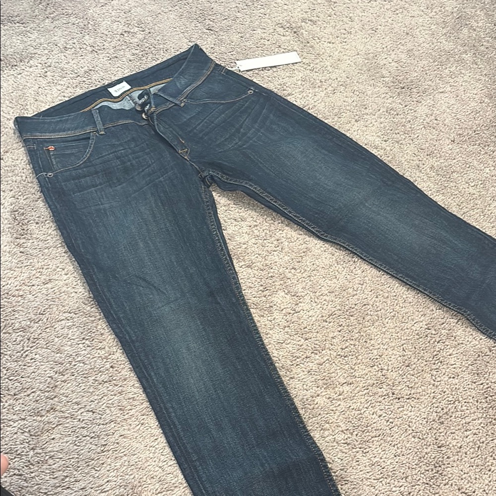 Hudson Jeans Blue Skinny Denim